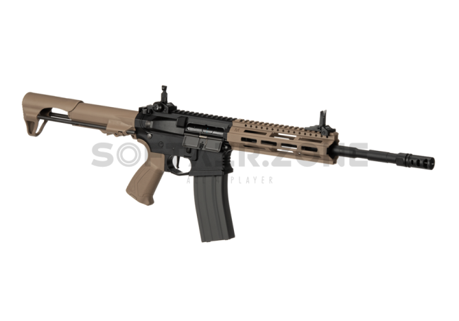 G&G CM16 Raider L 2.0E E.T.U AEG DST 0,5 Joule